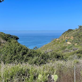 Torrey Pines State Reserve - Parks Near Me - La Jolla, California Torrey Pines State Reserve - Parks Near Me - La Jolla, California