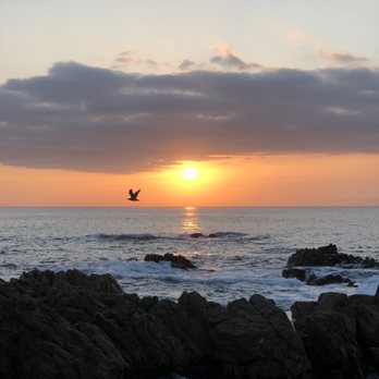 Asilomar State Beach - Parks Near Me - Pacific Grove, California Asilomar State Beach - Parks Near Me - Pacific Grove, California
