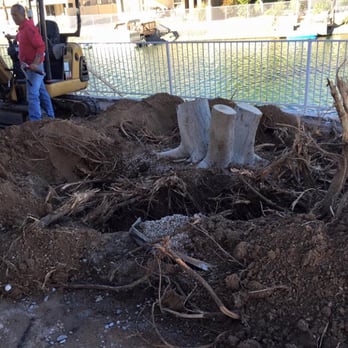 Turning Leaf - Full tree removals can be tough, unless you have the right man power and machinery! - Tree Services Near Me