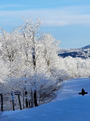 Belleayre Mountain Ski Center by null