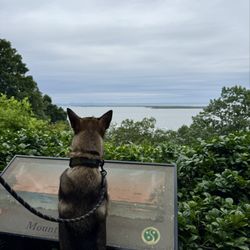 Mount Mitchill Scenic Overlook