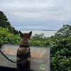 Mount Mitchill Scenic Overlook gift card