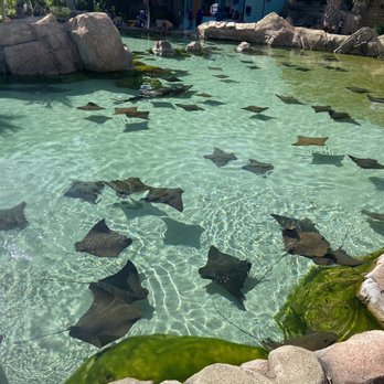 Aquatica San Antonio - Water Parks Near Me - San Antonio, Texas Aquatica San Antonio - Water Parks Near Me - San Antonio, Texas