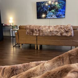 Purifi Iv - New decor
