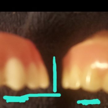 Ferber Dental Group: Dr. Brian Ferber DMD & Associates - General Dentistry Near Me - Greenacres, Florida Ferber Dental Group: Dr. Brian Ferber DMD & Associates - General Dentistry Near Me - Greenacres, Florida