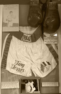 History of Italian Immigration Museum by null