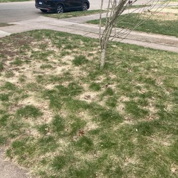Green Team Lawn Care - My lawn today . After his treatment last season - Snow Removal Near Me - Westbrook, Connecticut