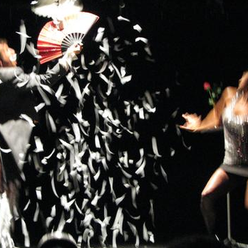 Mysto the Magician - Dove Act - Performing Arts Near Me - Denver, Colorado Mysto the Magician - Dove Act - Performing Arts Near Me - Denver, Colorado