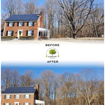 Yanez Tree Service Experts - Tree Services Near Me - Rockville, Maryland Yanez Tree Service Experts - Tree Services Near Me - Rockville, Maryland