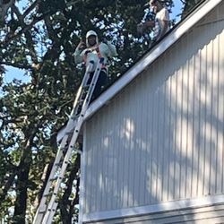 Giant Slayer Roofing - Nicholas on the roof!