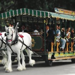 Stanley Park Horse Drawn Tours - Photo