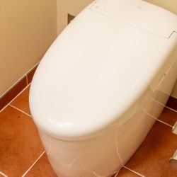Silver Peak Design Build - Bidet