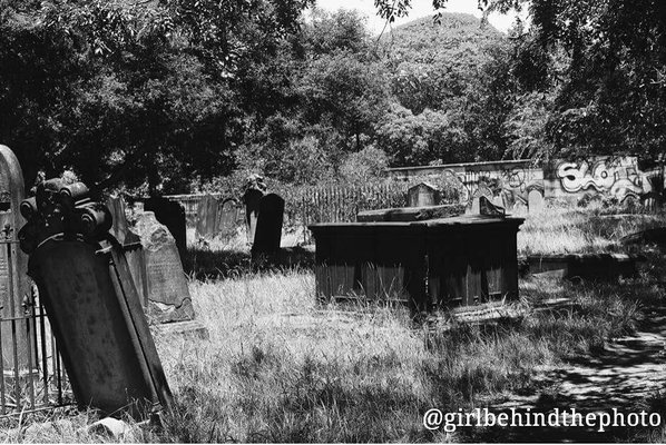 Camperdown Cemetery by null