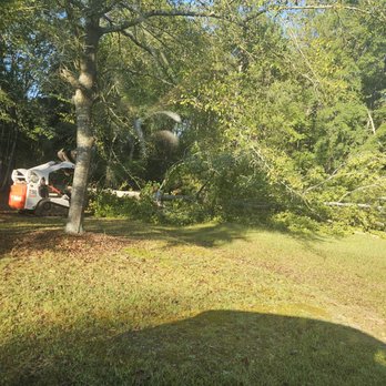 Green Tree Service - Tree Services Near Me - Griffin, Georgia