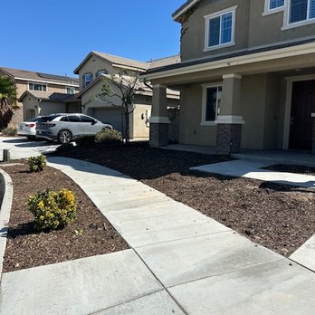Ayala's Tree Service - AFTER - Tree Services Near Me Ayala's Tree Service - AFTER - Tree Services Near Me