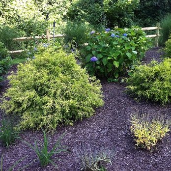 Omega Landscaping - Landscaping Near Me