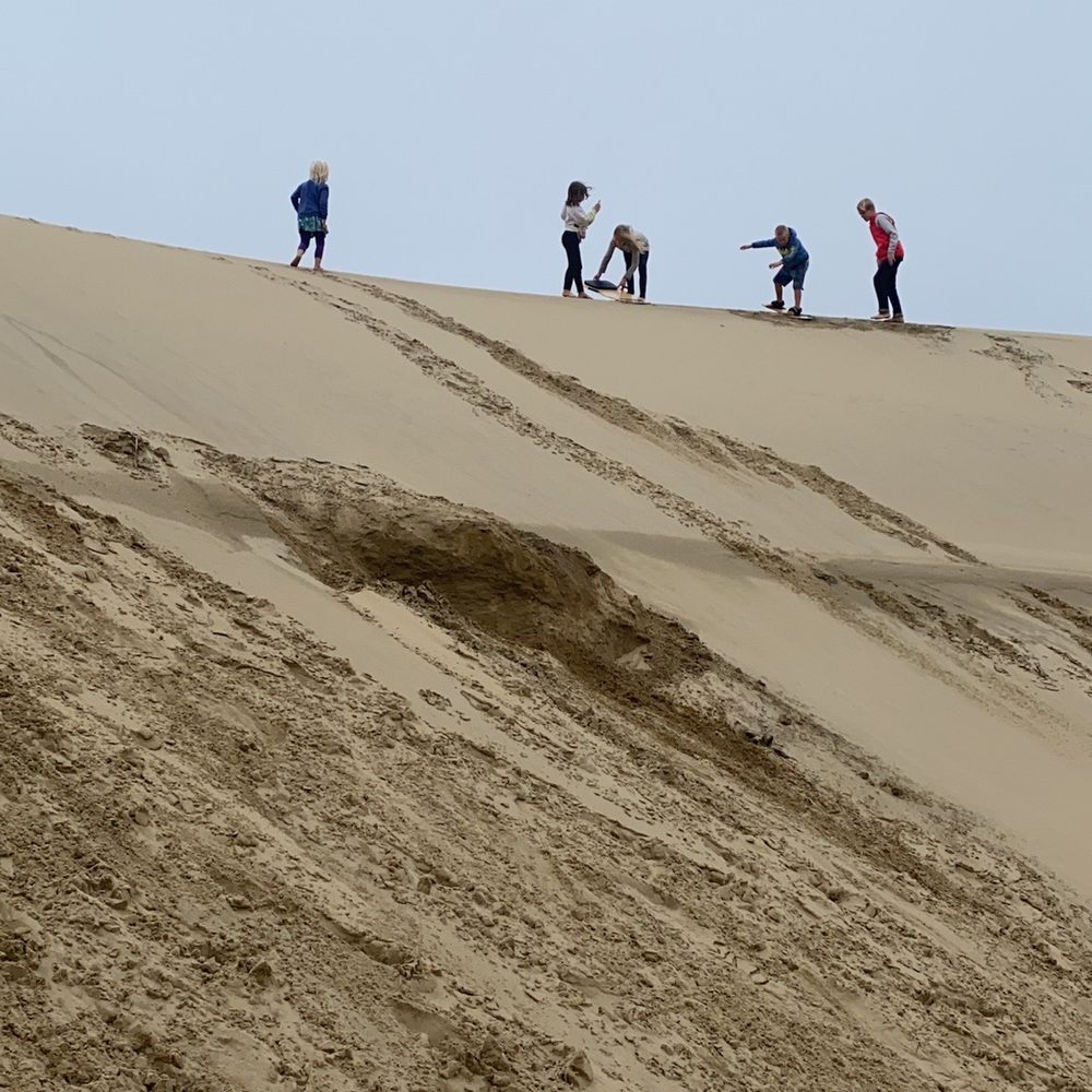 Sand Master Park - 7 kids did just fine sharing 2 boards... mostly - Recreation Centers Near Me - Florence, Oregon Sand Master Park - 7 kids did just fine sharing 2 boards... mostly - Recreation Centers Near Me - Florence, Oregon