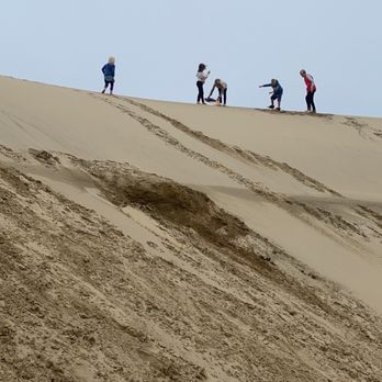 Sand Master Park - 7 kids did just fine sharing 2 boards... mostly - Recreation Centers Near Me - Florence, Oregon