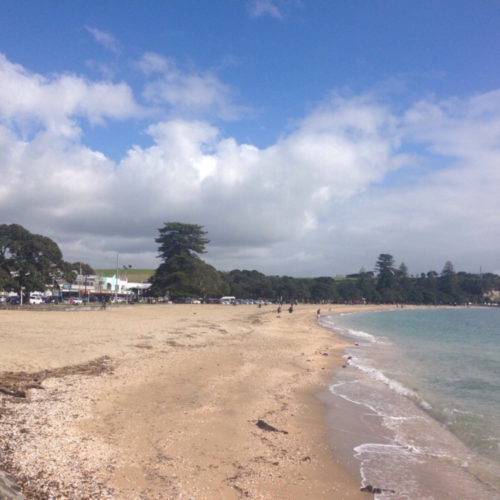 Mission Bay Beach - Calm swimming beach - Beaches Near Me - Auckland, AUK