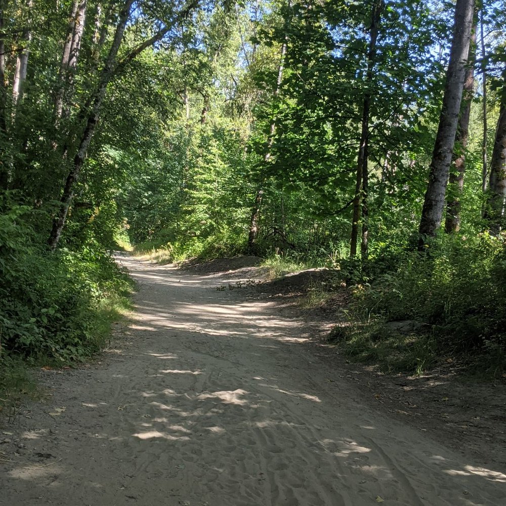 Tolt-MacDonald Park & Campground - Trail to large group campsite and walk in tent sites. - Parks Near Me - Carnation, Washington Tolt-MacDonald Park & Campground - Trail to large group campsite and walk in tent sites. - Parks Near Me - Carnation, Washington