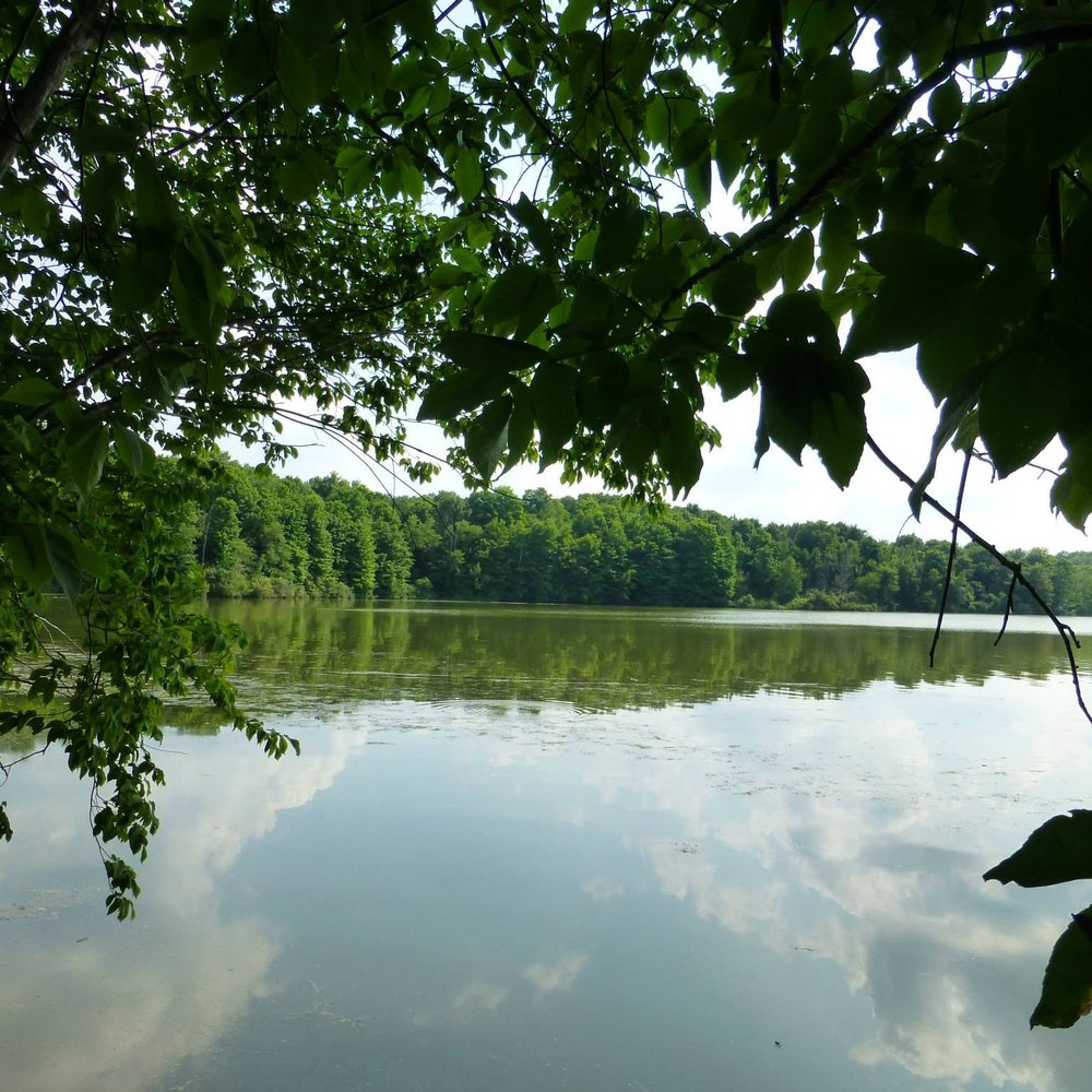 Ionia State Recreation Area - Parks Near Me - Ionia, Michigan