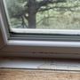Photo of One Window At a Time