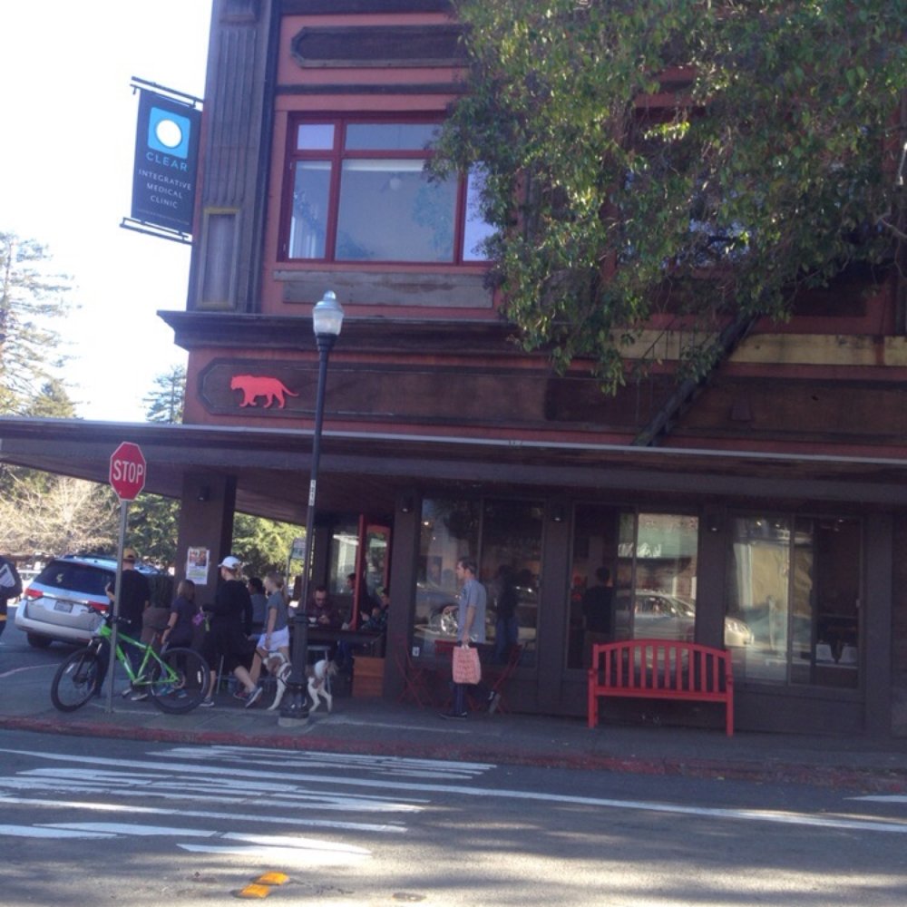 Equator Coffees - Scene from the street - Coffee & Tea Near Me - Mill Valley, California Equator Coffees - Scene from the street - Coffee & Tea Near Me - Mill Valley, California