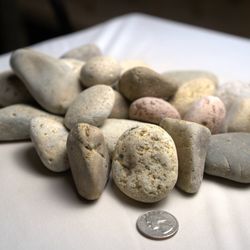 Sepulveda Building Materials