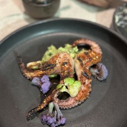 Octopus Octopus