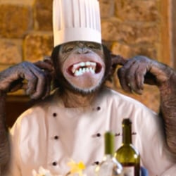 New Rainbow Fish Bar - Mad chef