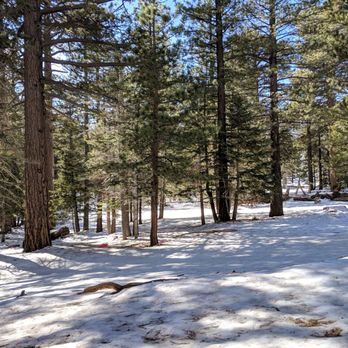Mount San Jacinto State Park - Parks Near Me - Idyllwild, California