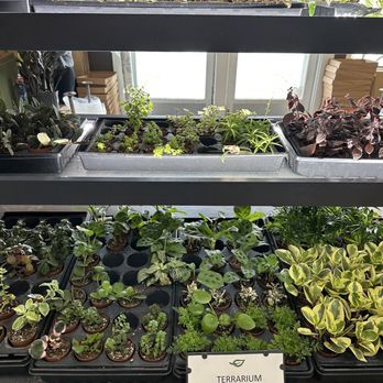 Faddegon's Nursery - Nurseries & Gardening Near Me - Latham, New York