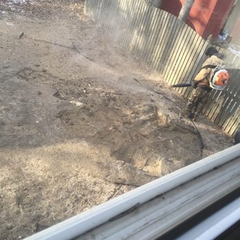 See Clear Tree & Property Services - Cleaning up - completed in only a few hours! - Tree Services Near Me - Clayton, New Jersey See Clear Tree & Property Services - Cleaning up - completed in only a few hours! - Tree Services Near Me - Clayton, New Jersey