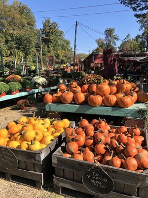 Depaul's Urban Farm by null