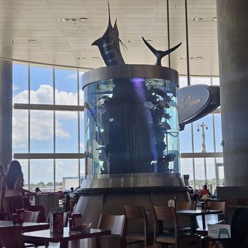 RumFish - Seafood Near Me - Tampa, Florida