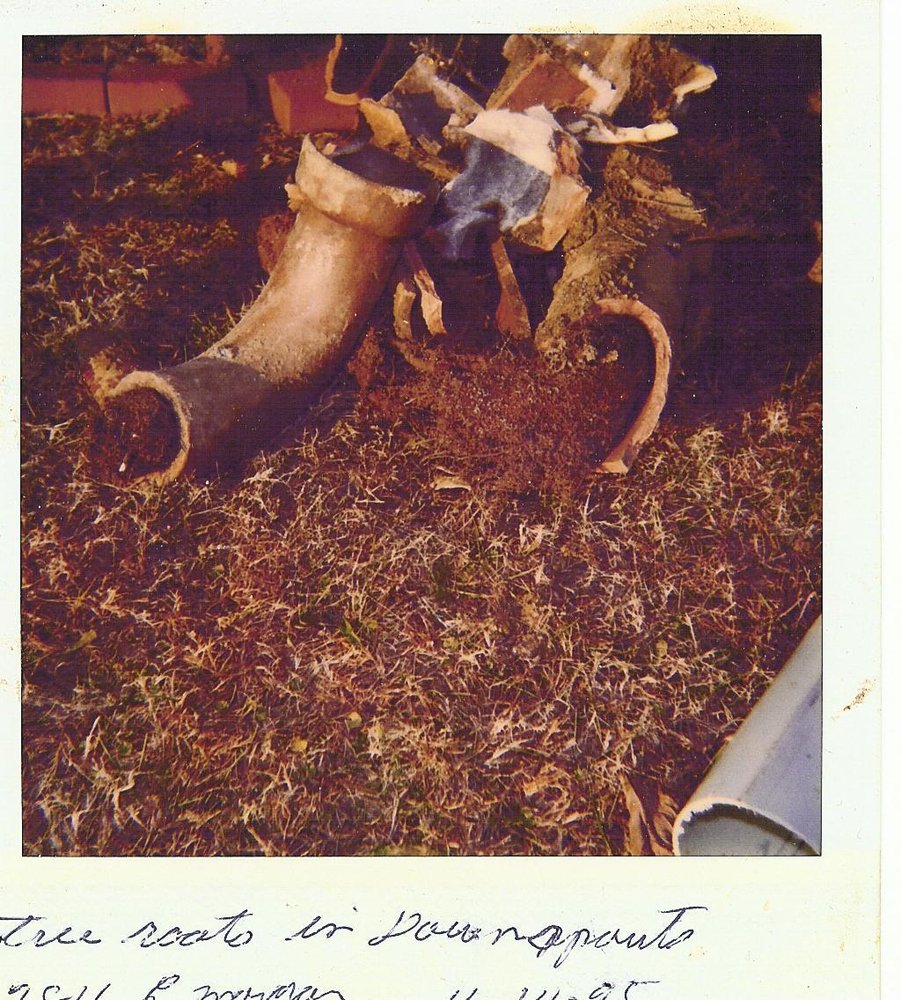 Slide of A1 Redi Rooter