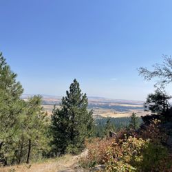Stevens Creek Trail