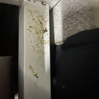 Extra Space Storage - Mirror for dresser infested with rat pee and doo doo - Self Storage Near Me - Silver Spring, Maryland