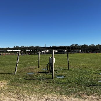 Southern Hill Farms - Fruits & Veggies Near Me - Clermont, Florida Southern Hill Farms - Fruits & Veggies Near Me - Clermont, Florida