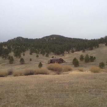 Walker Ranch Park - Elk on the hill side by the meyers homestead trail - Ranches Near Me - Boulder, Colorado Walker Ranch Park - Elk on the hill side by the meyers homestead trail - Ranches Near Me - Boulder, Colorado