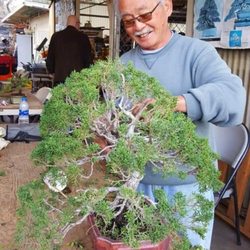 Fuji Bonsai Nursery