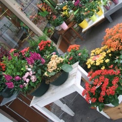Fleur et Sens