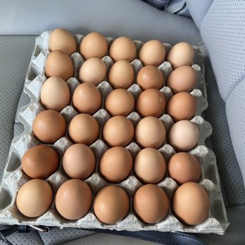 Billy's Egg Farm - Large eggs - Specialty Food Near Me - Chino, California Billy's Egg Farm - Large eggs - Specialty Food Near Me - Chino, California