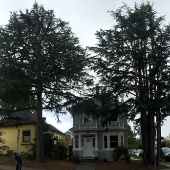 Oakland Aesthetics - Tree Services Near Me Oakland Aesthetics - Tree Services Near Me