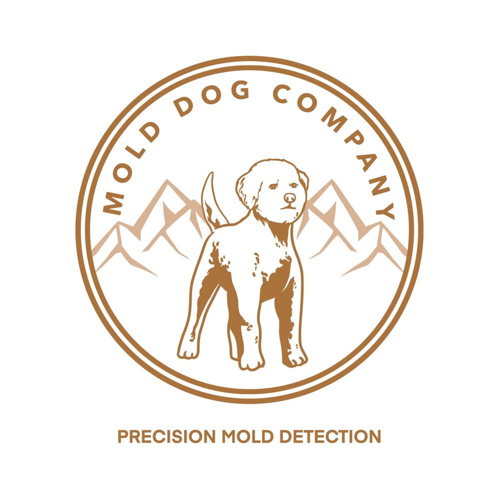 Mold Dog Company - mold inspector in Cle Elum, WA