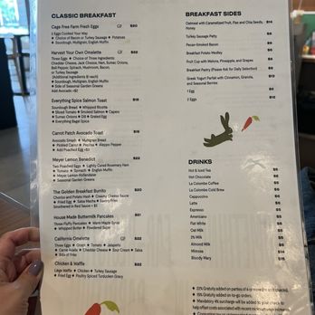 Wild Hare Bar Garden  - Breakfast Menu - Lounges Near Me - San Diego, California