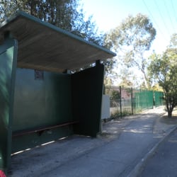Blue Mountains Bus Company