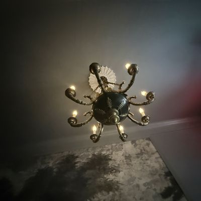 The Celestine by null The Celestine by null