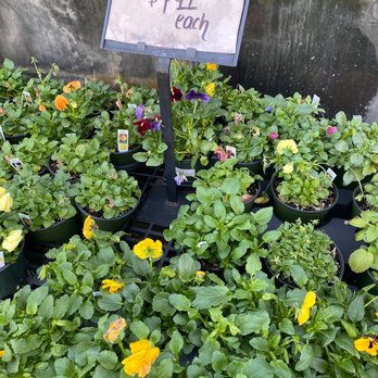 Greenhouse I I - Nurseries & Gardening Near Me - Richmond, Virginia Greenhouse I I - Nurseries & Gardening Near Me - Richmond, Virginia