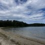 Photo of Nickerson State Park